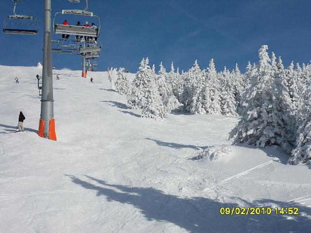 SDC10545.JPG